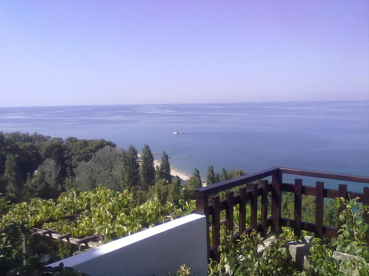 Pelion Orama Lägenhet Agios Ioannis  Exteriör bild