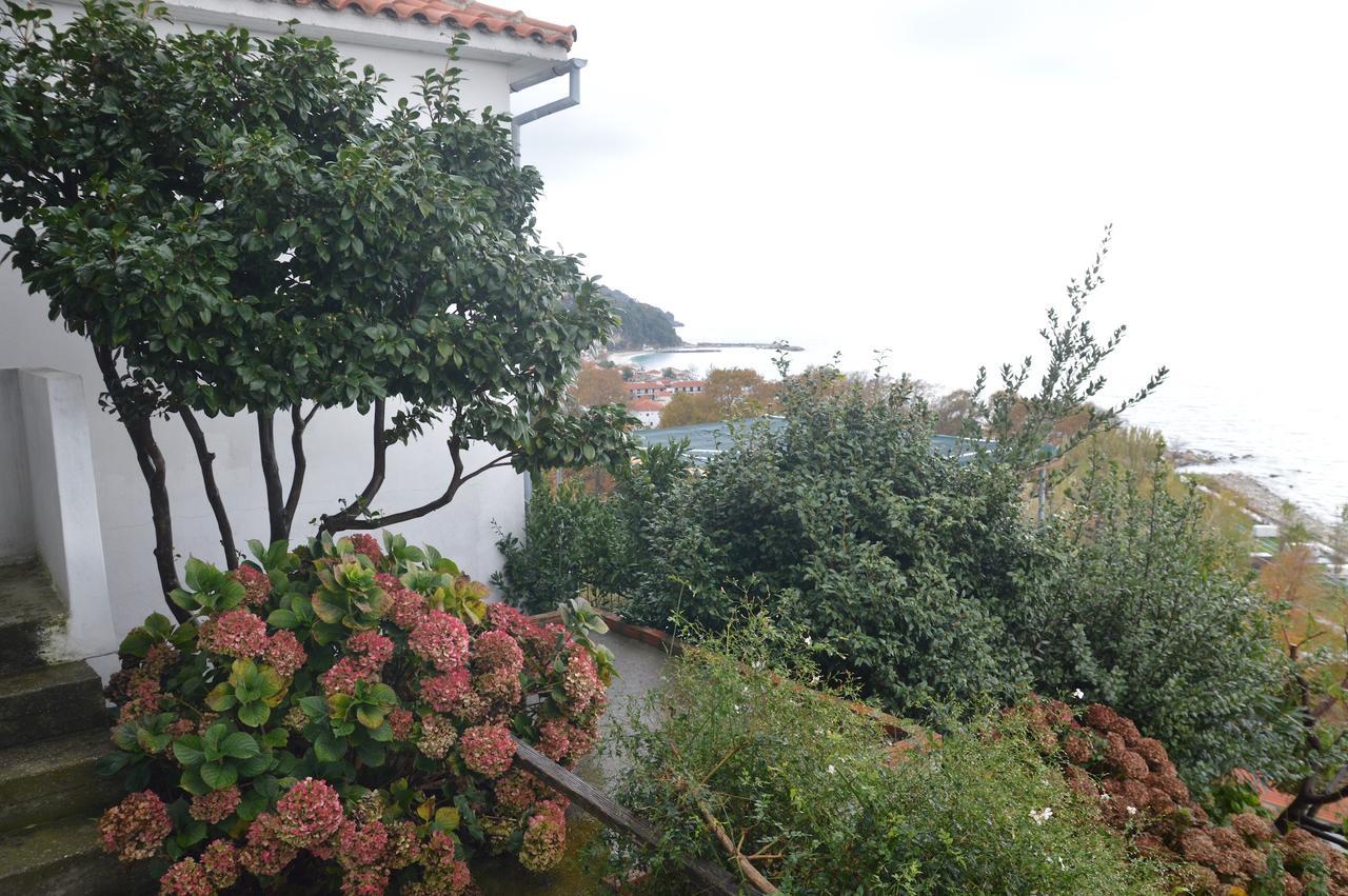 Pelion Orama Lägenhet Agios Ioannis  Exteriör bild